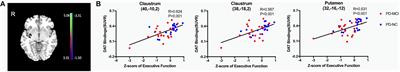 Dopaminergic and Metabolic Correlations With Cognitive Domains in Non-demented Parkinson’s Disease